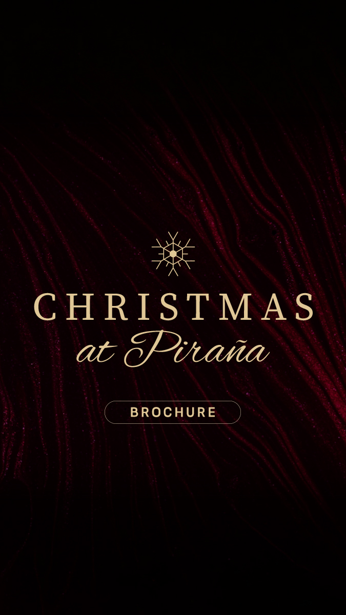 Christmas digital brochure cover